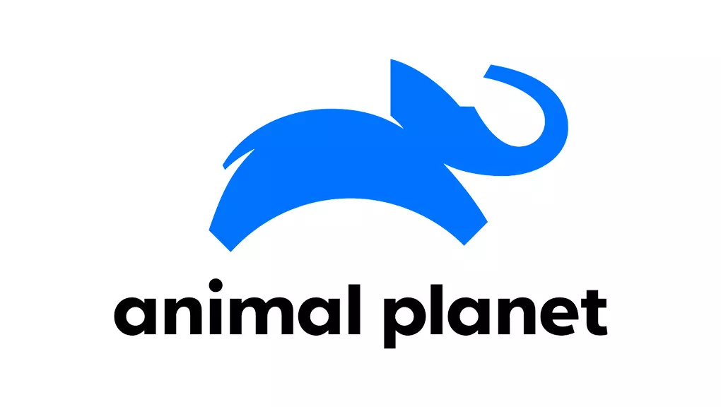 Animal Planet Live HD - Watch Live Reality Streaming | TapmadTV