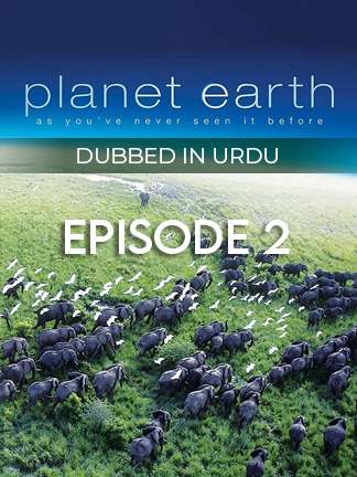 Planet Earth Urdu - Jungles