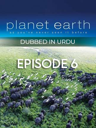 Planet Earth Urdu - Ice Worlds