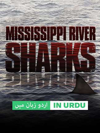 Mississippi River Sharks - Dubbed