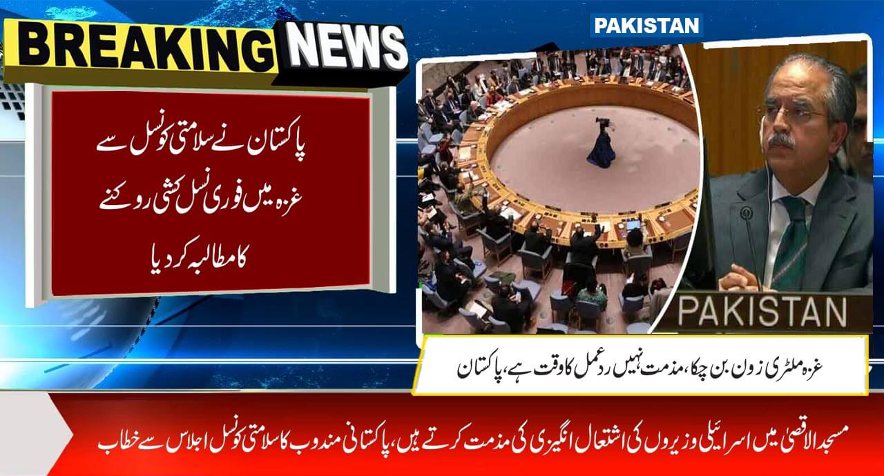 پاکستان نے سلامتی کونسل سے غزہ میں فوری نسل کشی روکنے کا مطالبہ کردیا