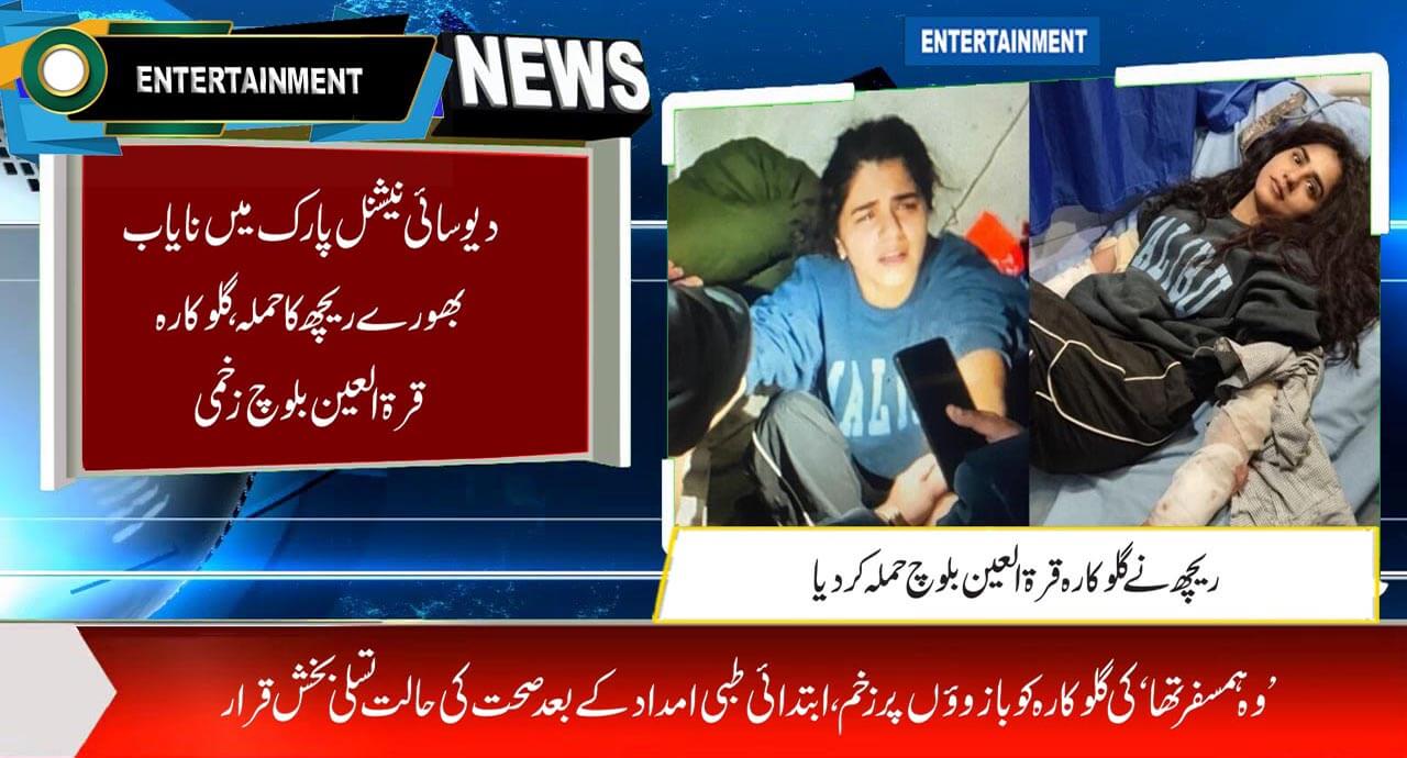 دیوسائی نیشنل پارک میں نایاب بھورے ریچھ کا حملہ، گلوکارہ قرۃ العین بلوچ زخمی