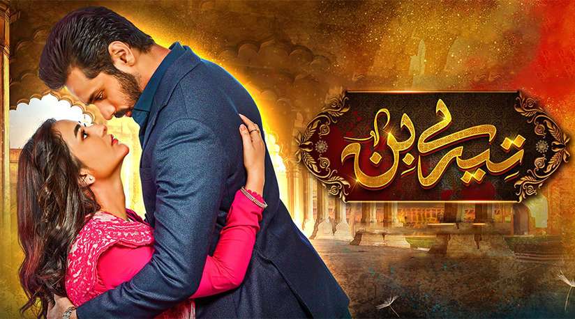 Tere Bin Pakistani Drama Geo TV Cast, Storyline, Last Episode