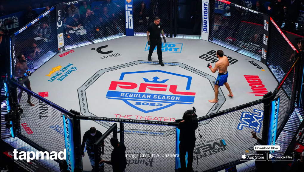 PFL MENA 2 Fight Night: How to Watch the Bouts Live Online
