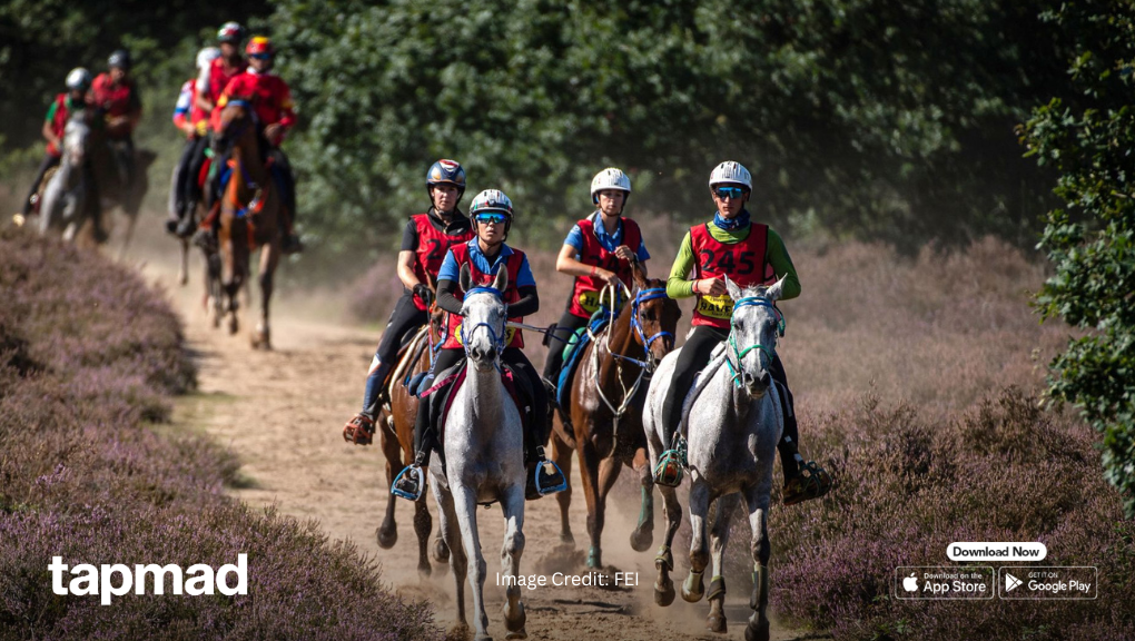 Top Riders & Teams to Watch in FEI Ride Original 2025