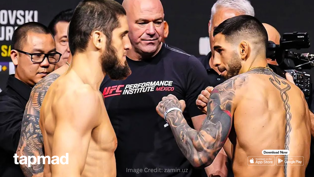 Dana White Clarifies Makhachev vs Topuria Rumours Surrounding White House Event