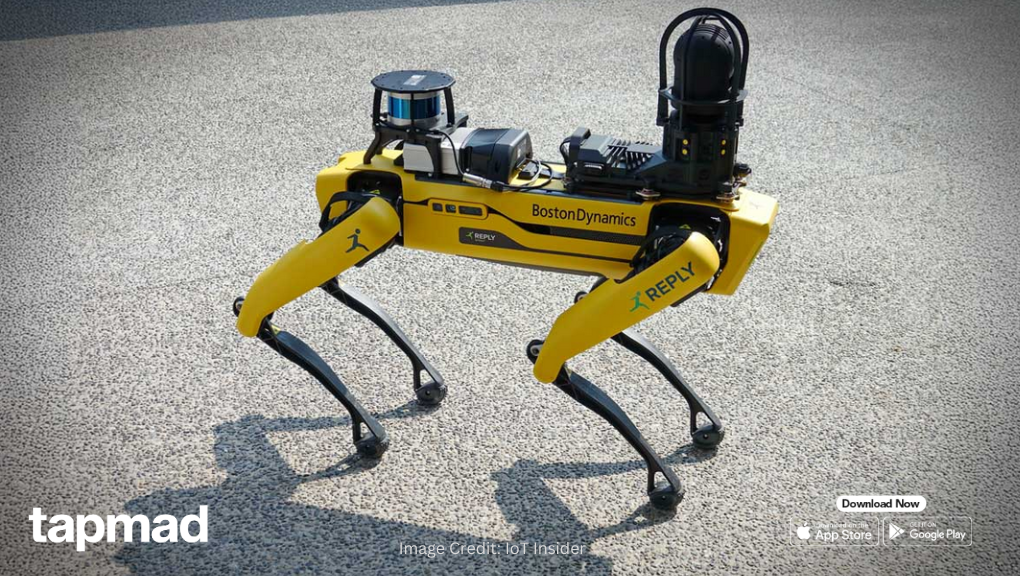 Hyundai Plans Boston Dynamics Robot Dogs for FIFA World Cup 2026 Security